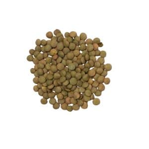 ORGANIC LAIRD GREEN LENTILS