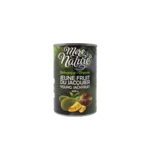 fruit du jacquier bio