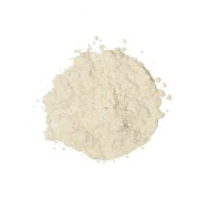 oignons en poudre bio