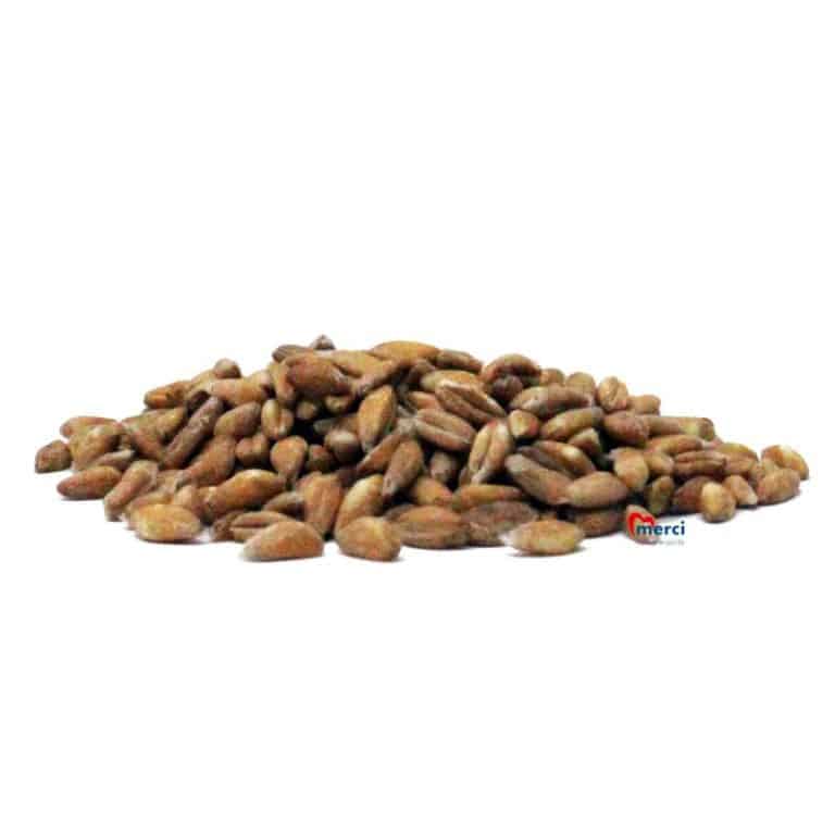 graines de farro bio caisse