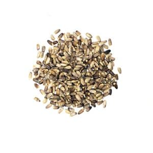 MILK THISTLE SEEDS CASE