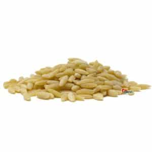 ORZO PASTE 6X9